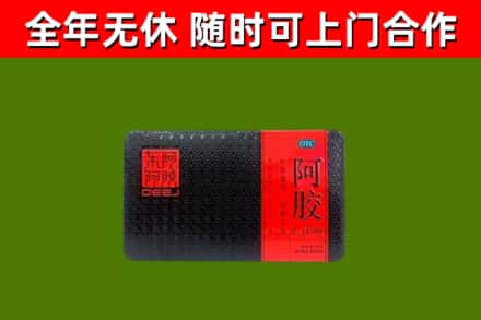 隰县回收阿胶